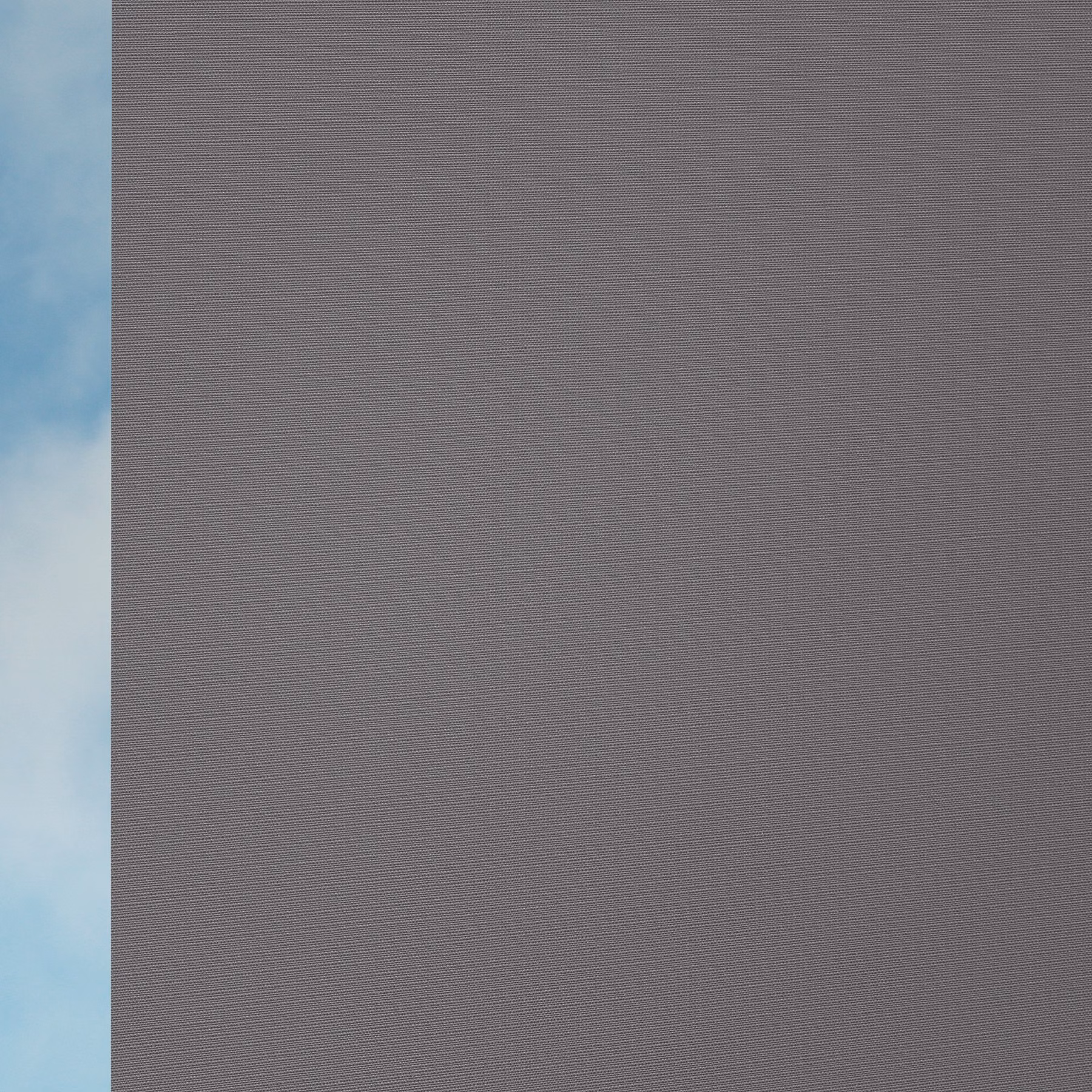 Roller Blind - Riptech Ash