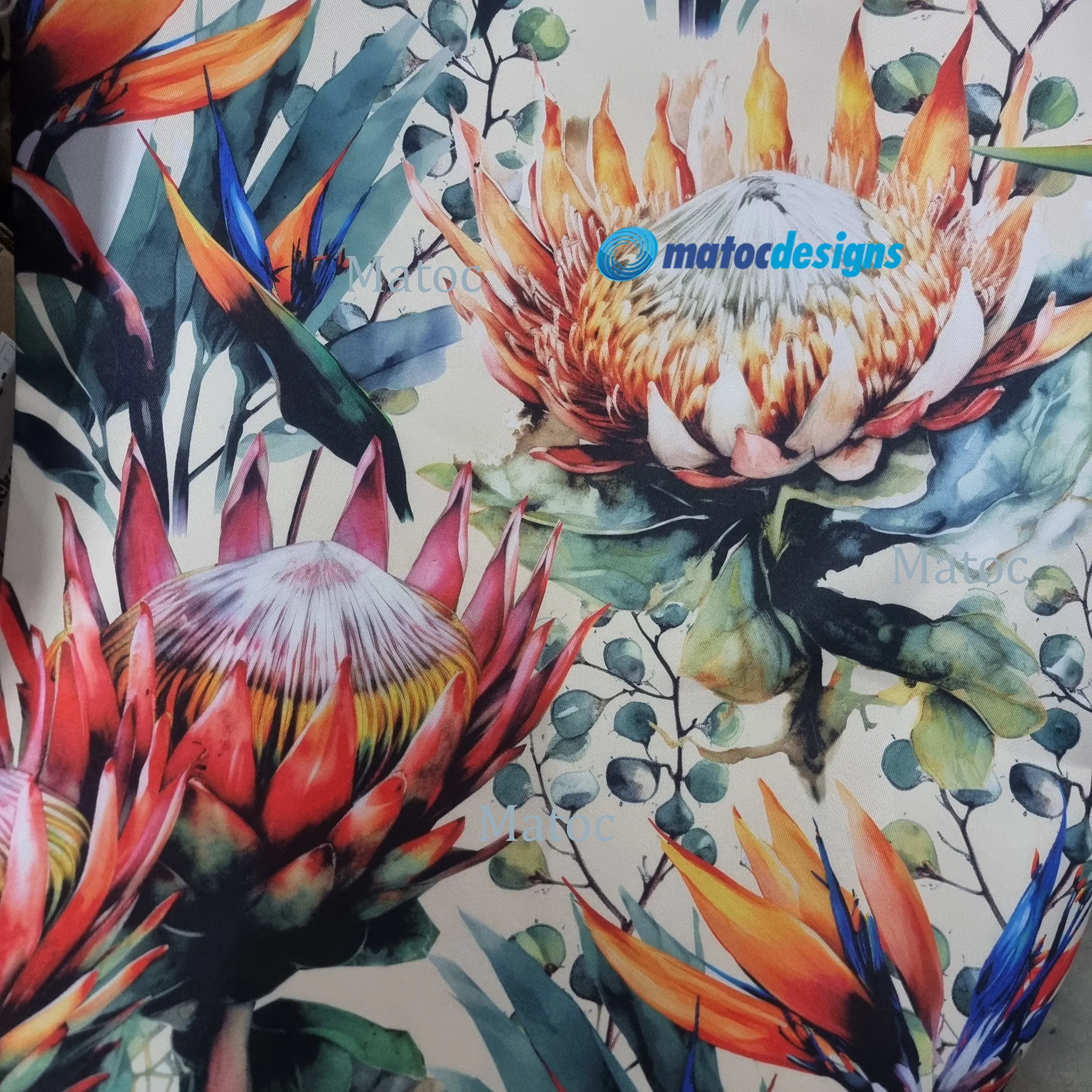 Garden Protea - 150cm Wide