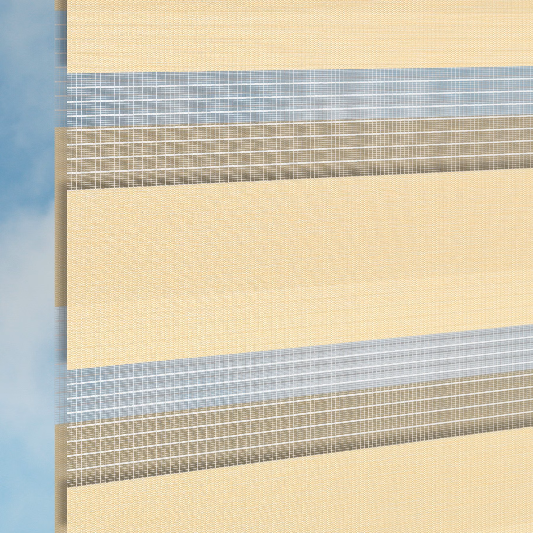 Double Roller Zebra Blind - Hong Kong Mushroom