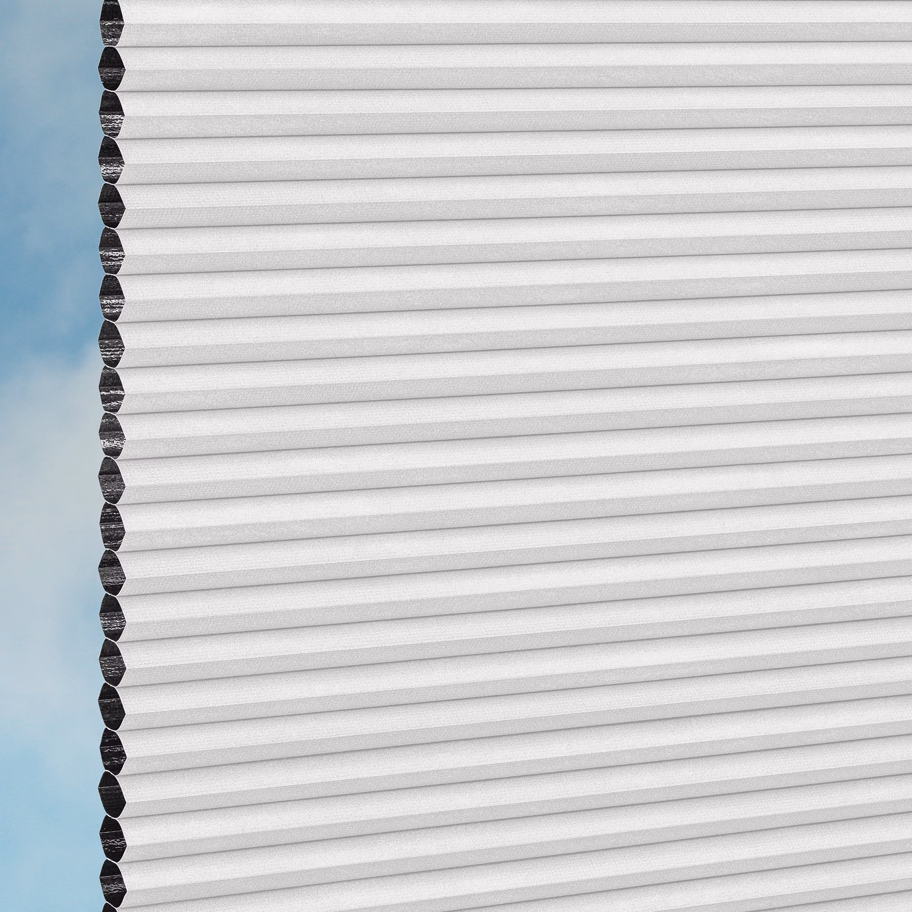 25mm Honeycomb Blind - Blackout Swan