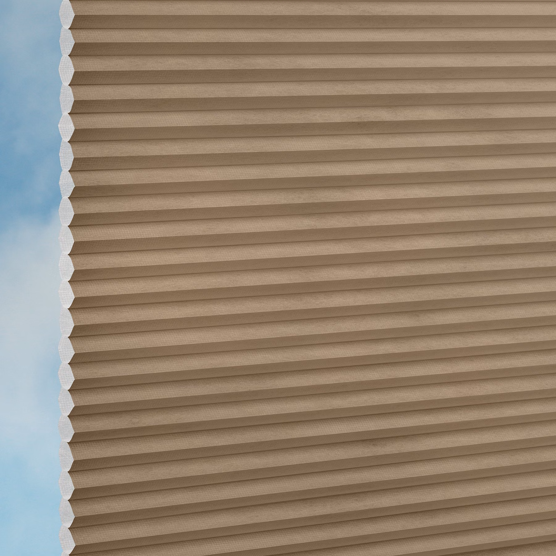 25mm Honeycomb Blind - DuoTone Chocolate