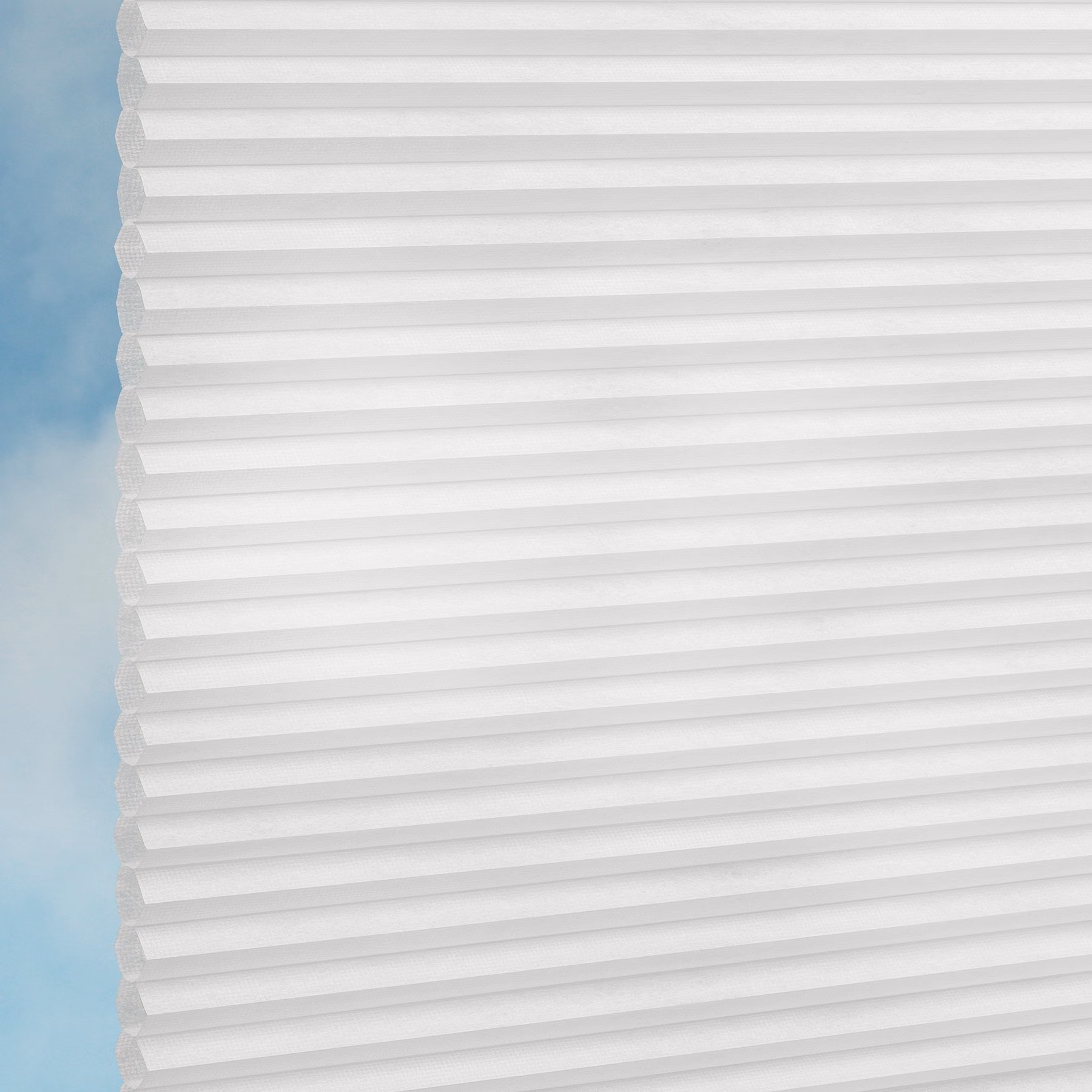 25mm Honeycomb Blind - DuoTone Swan